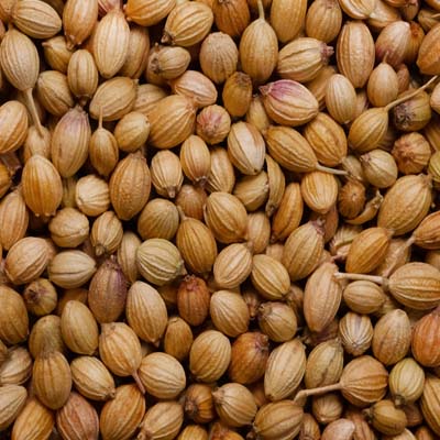 Coriander Seeds
