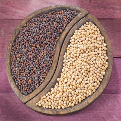Mustard Seeds