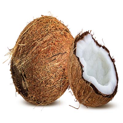 Coconut